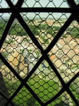 SX28318 View through window La Cite, Carcassone.jpg